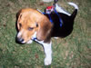 100_2184.JPG (206,135 bytes)